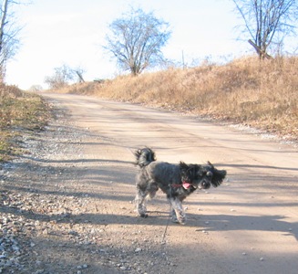 2007-01-03