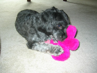 2007-01-07