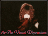 Visual Dimension