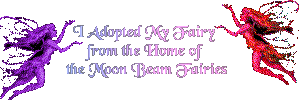 Visit the Moon Beam Fairies