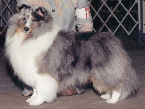 hunkgbcrop.JPG (37361 bytes)