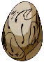 egg