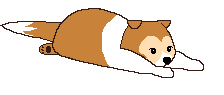 puppy