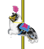 merri