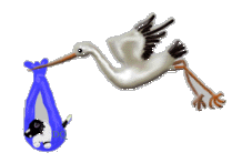 stork2