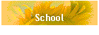 School