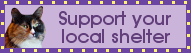 Support Blinkie