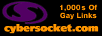 www.cybersocket.com