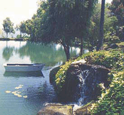 Lagoon