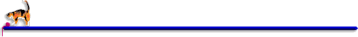 left calico bar