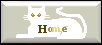 home button
