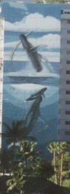 wpe38852.gif (245322 bytes)
