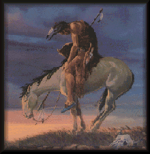 Native American Picture