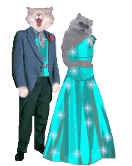 Formal attire