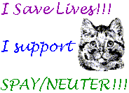 Spay or Neuter