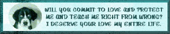 I Deserve