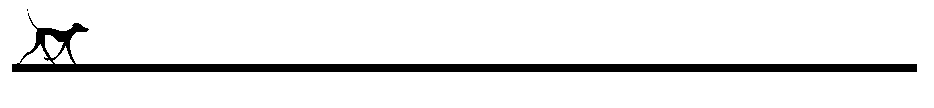 Silhouette