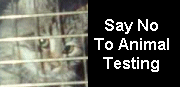 Say No To Animal Testing