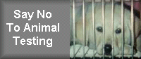 Say No To Animal Testing