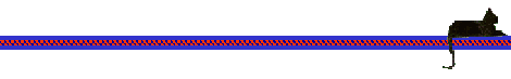blackcatline2