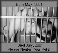 Born and Died