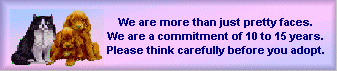 Animals are a Commitment