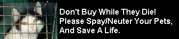 Don't Buy While They Die