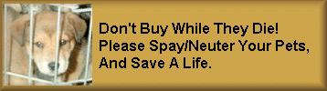 Don't Buy While They Die