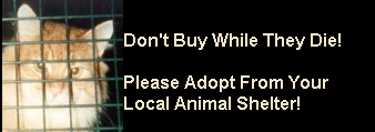 Don't Buy While They Die