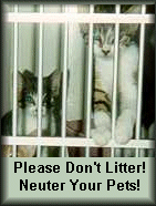 Don't Litter, Neuter Your Pet