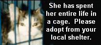 Entire Life In A Cage