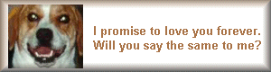 Will You Do The Same