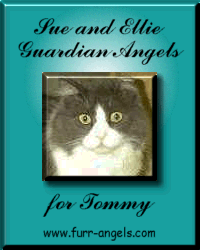 Sponsored In Memory of Simon