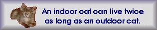 Indoor cats