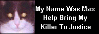 Justice For Max