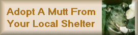 Adopt A Mutt