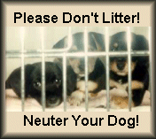 Please Neuter Your Dog