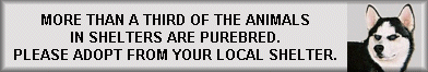 Purebreds Die In Shelters