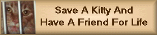 Save A Life