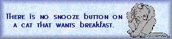 Snooze
