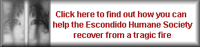 Help The Escondido Humane Society