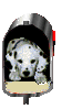 MAIL