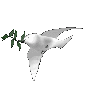Click to view more Peace-Friends