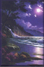 sunsetpic.gif (33014 bytes)