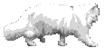 persi