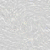 GRAY 10