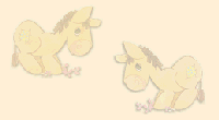 DONKEY