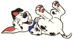 DALMATION8