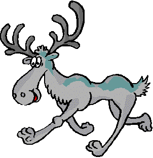 GOOFY MOOSE