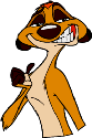 TIMON